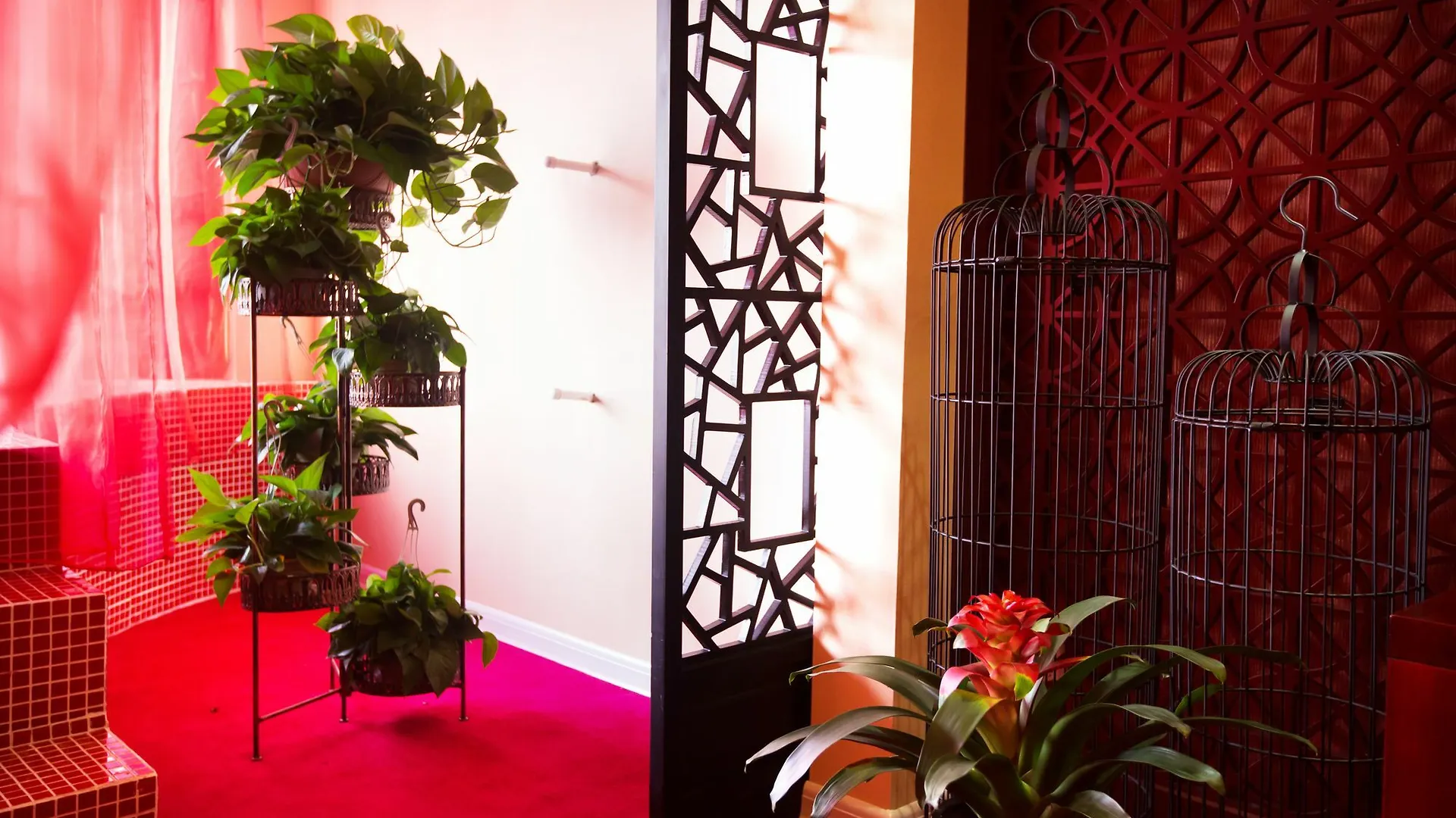 Love Romantic Scene Hotel Luoyang